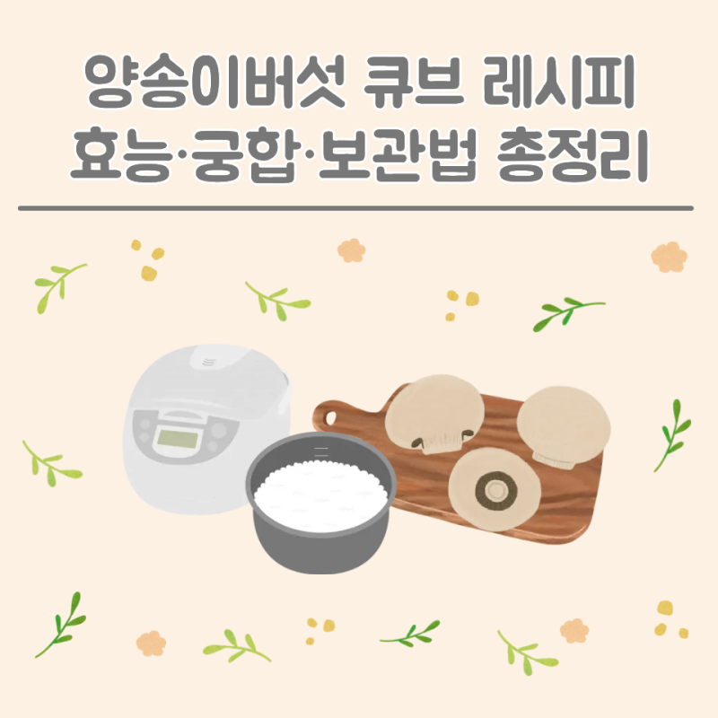 [중기 이유식] 양송이버섯 큐브 레시피｜손질법｜효능·궁합·보관법 총정리