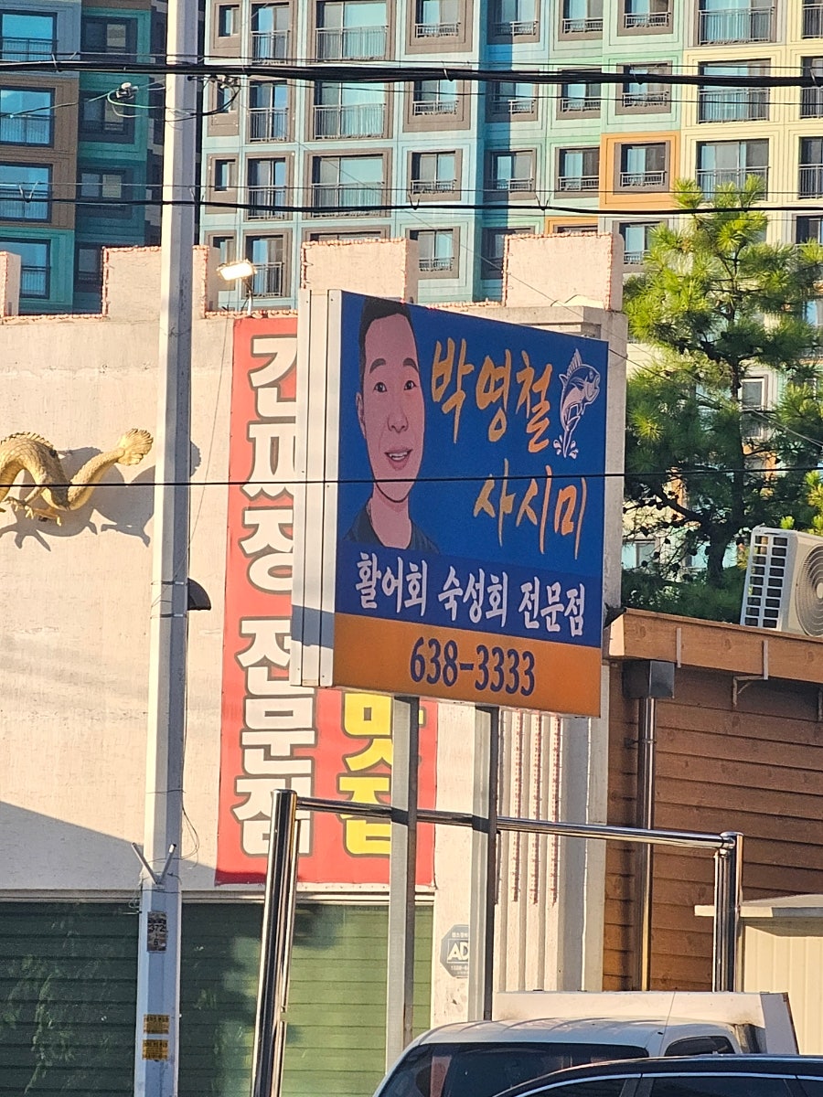 박영철사시미 사진 3