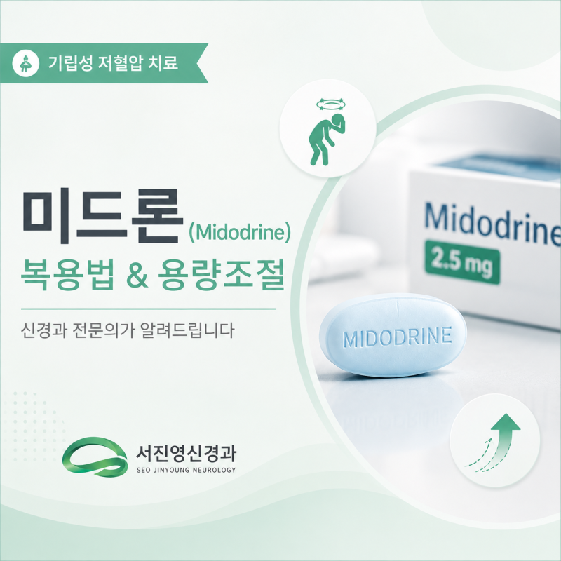 기립성 저혈압 약 미드론(Midodrine), 어떻게 복용해야 할까요? ㅣ전주 효천지구 서진영신경과