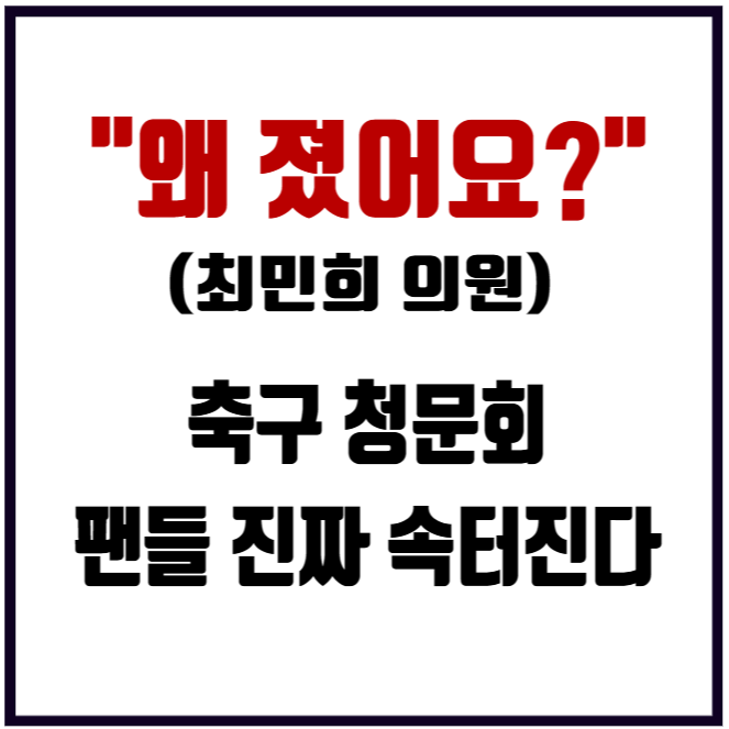 대한축구협회 청문회 최민희 의원 "왜 졌어요?"질문 수 논란 황덕연 해설위원 "저걸 질문이라....