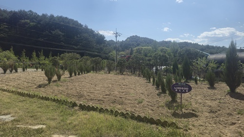인제펜션 사진 1