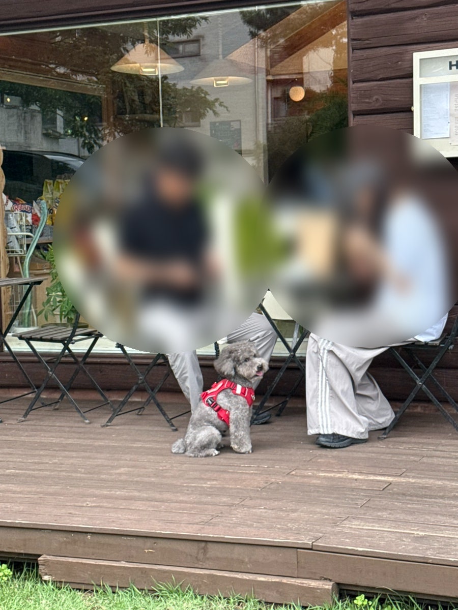 홀츠 애월 사진 5