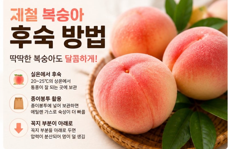 제철 복숭아 후숙. 이런 방법은 피하세요
