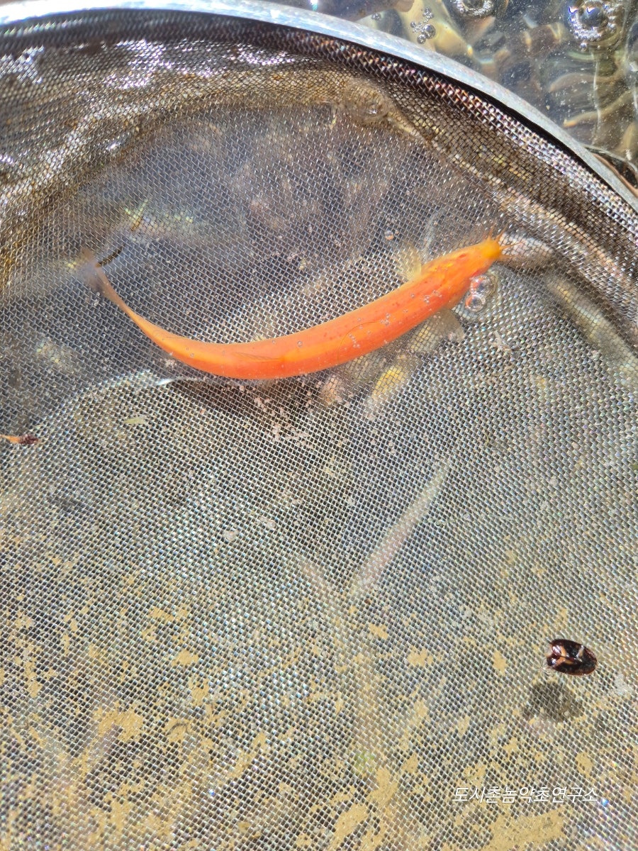 시골 사진 2