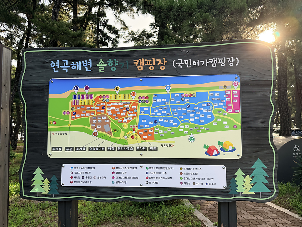 솔향기 사진 2
