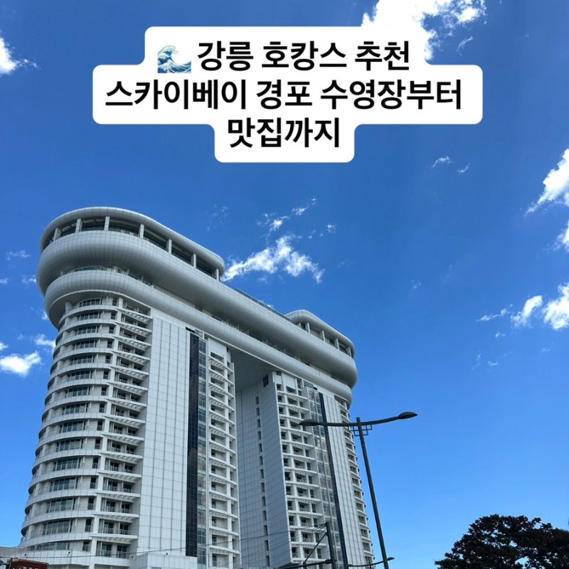 강릉 1박 2일 여행 추천 스카이베이 경포 호텔 수영장부터 순두부 맛집까지 완벽했던 강릉 여....