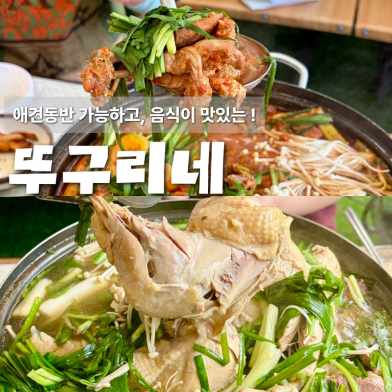 원주용수골맛집 애견동반 가능한 뚜구리네 솔직후기 !!
