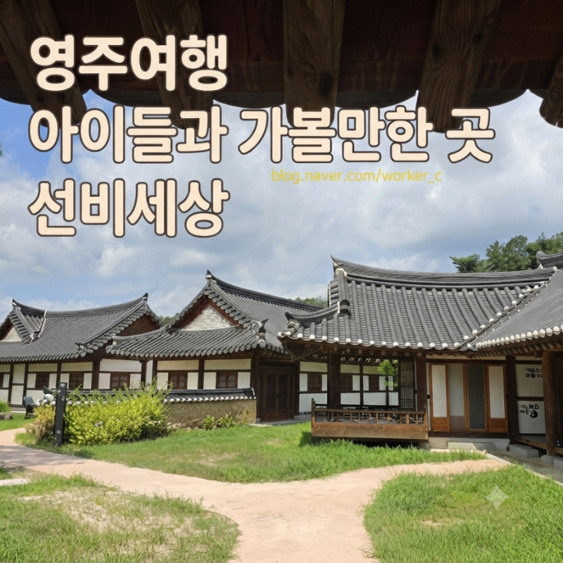 [영주여행]아이들과 가볼만한 곳 영주 선비세상 가기 전 체크리스트, 버스 시간표, 주차, 편....