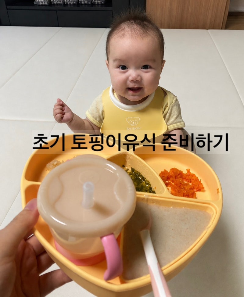 6개월 초기이유식 준비물 (토핑이유식)