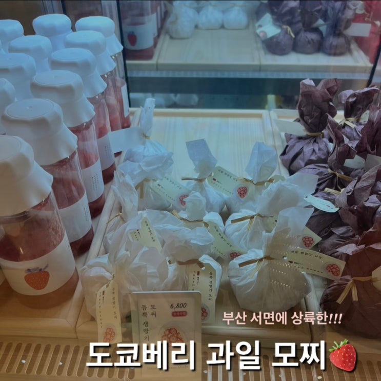 <b>도쿄베리</b> 과일모찌 : 부산 롯데 백화점 서면점 과일모찌 팝업
