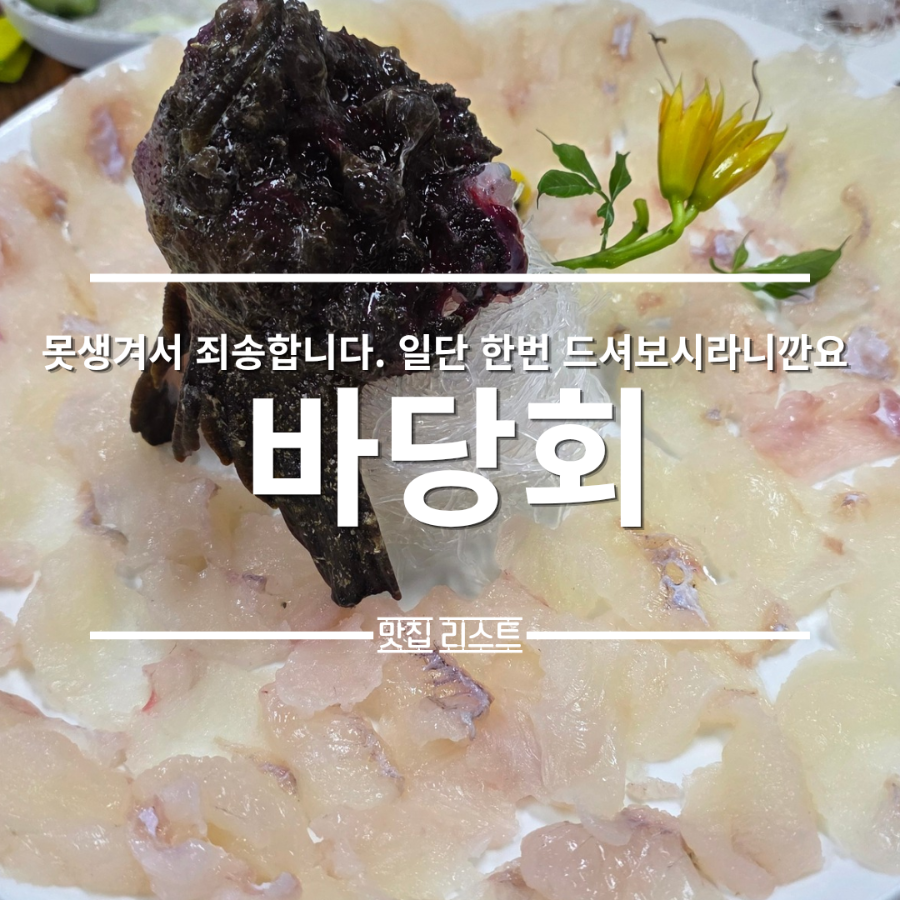 바당회 사진 1