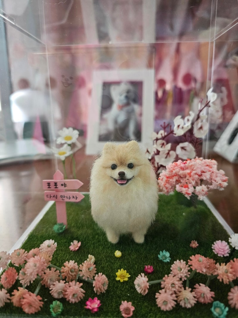 [펫로스] 아이디어스 노뚝딱에서 반려견 양모펠트 주문 제작 후기, 강아지별로 떠난 포포를 ....