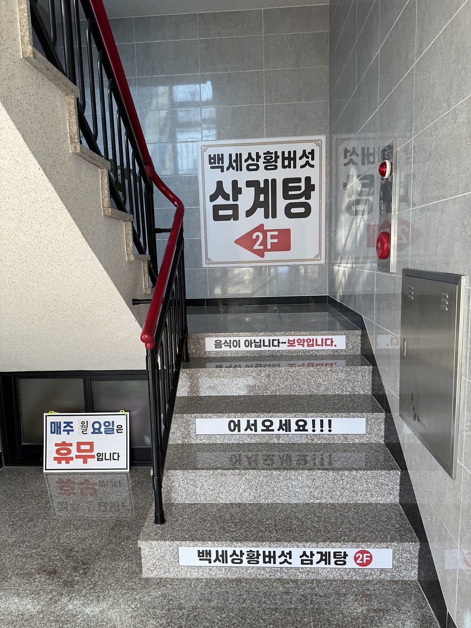 백세상황버섯삼계탕 사진 6