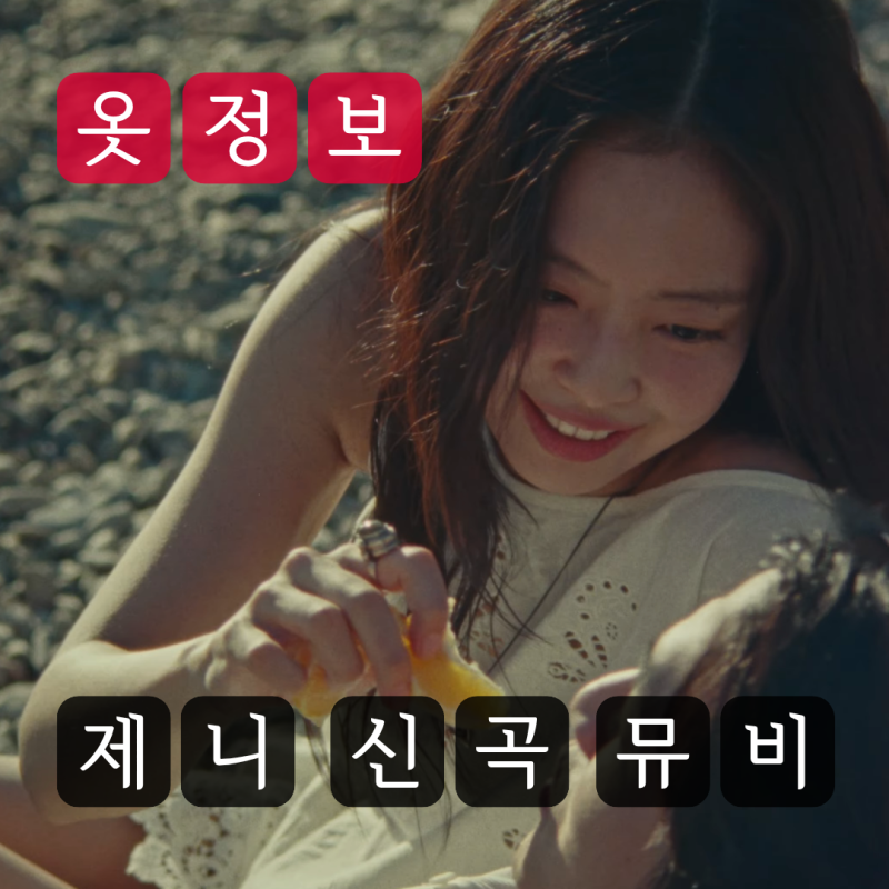 제니 뮤비 옷 정보, 블라우스 원피스 스커트 수영복 정보