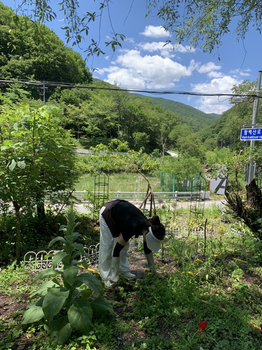 아우로라 사진 5