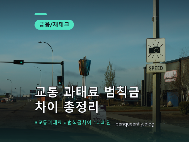 교통 과태료 범칙금 차이 총정리 | 어느 쪽으로 내야 싸고 벌점도 없을까