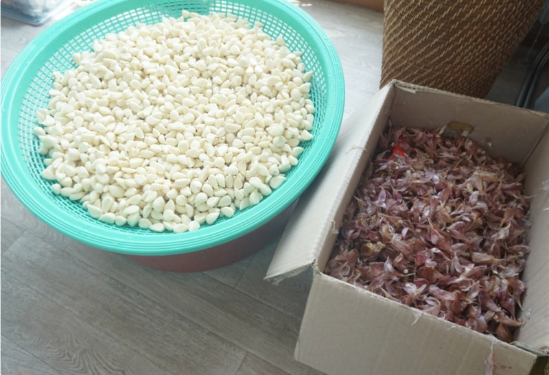 마늘 껍질 쉽게까는 방법, 15kg 혼자서 빠르게 까보자