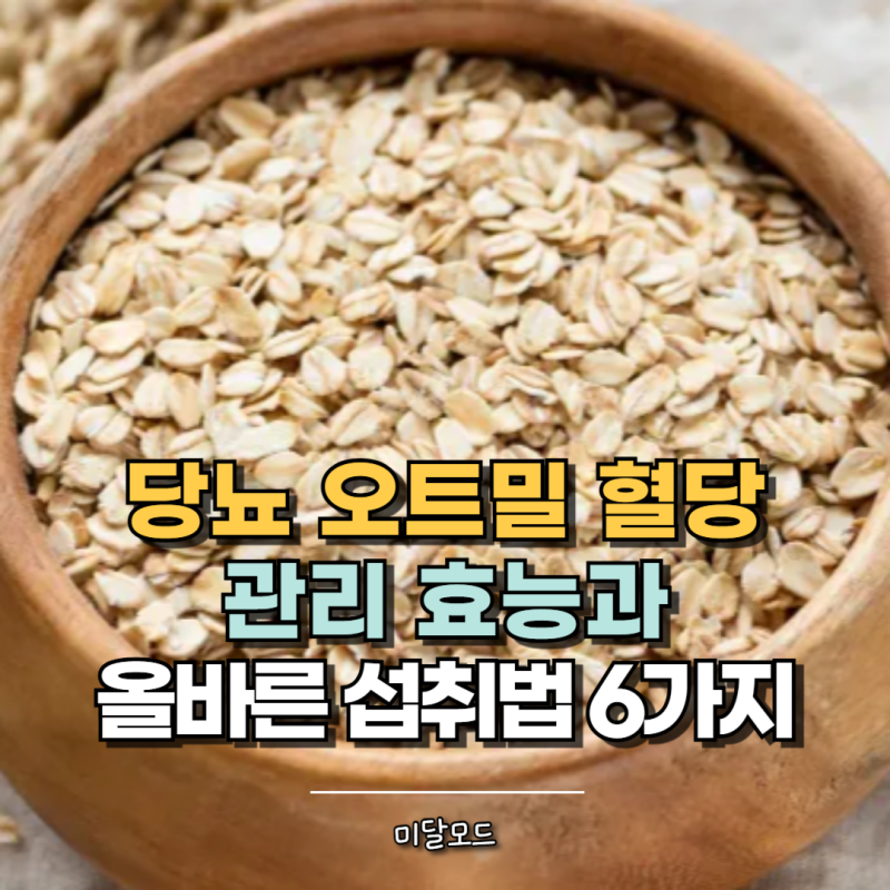 당뇨 오트밀 혈당 관리 효능과 올바른 섭취법 6가지 정리