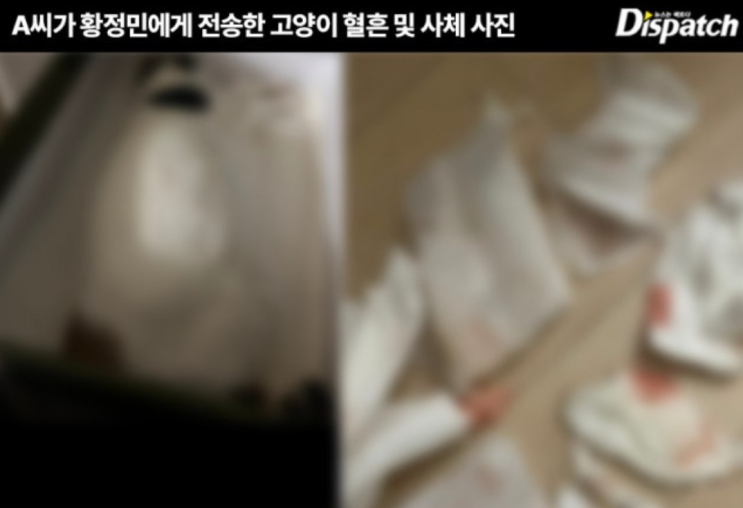 고양이 사체 사진까지…<b>디스패치</b>가 밝힌 <b>황정민</b> 스토킹 증거 전문