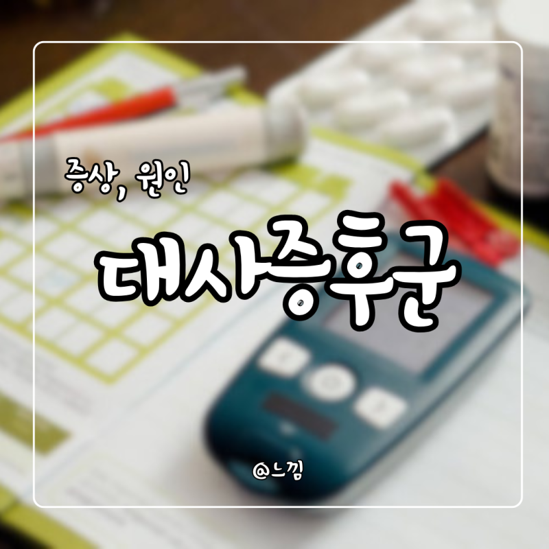 대사증후군 뜻 증상 검사 수치 치료 합병증