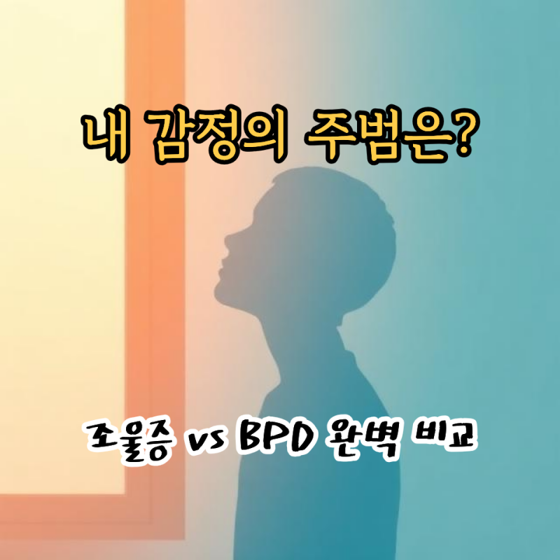 양극성장애 양극성 정동장애와 경계성 인격장애 차이점: 기분 변화의 주범