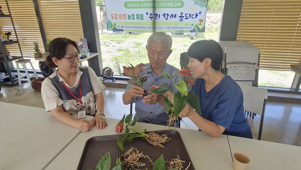 크림 사진 4