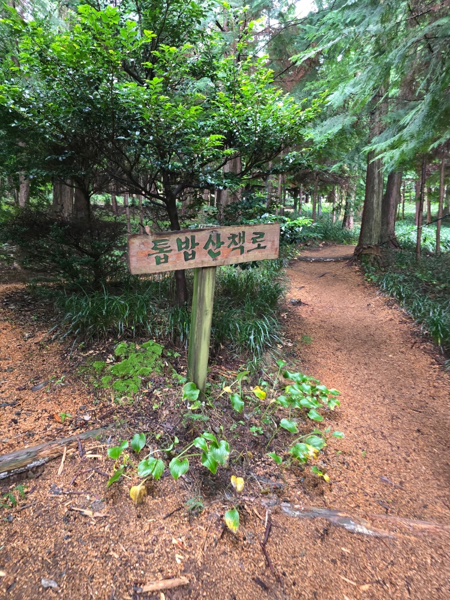 정남진편백숲우드랜드 사진 6