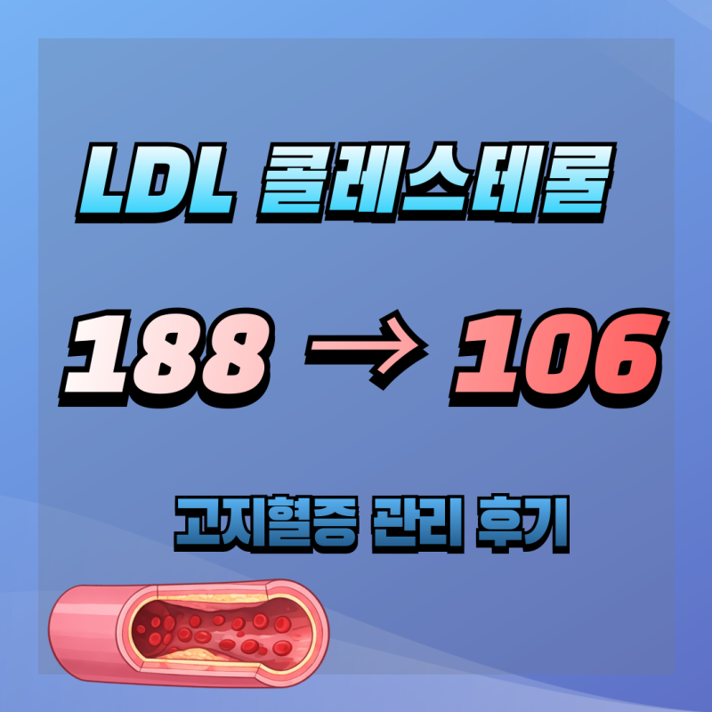 LDL 콜레스테롤 188→106 낮춘 후기 | 고지혈증 약 복용 3개월과 생활습관 변화