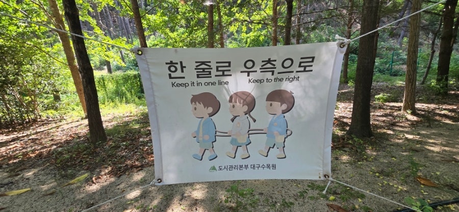 수목원 산책 사진 6