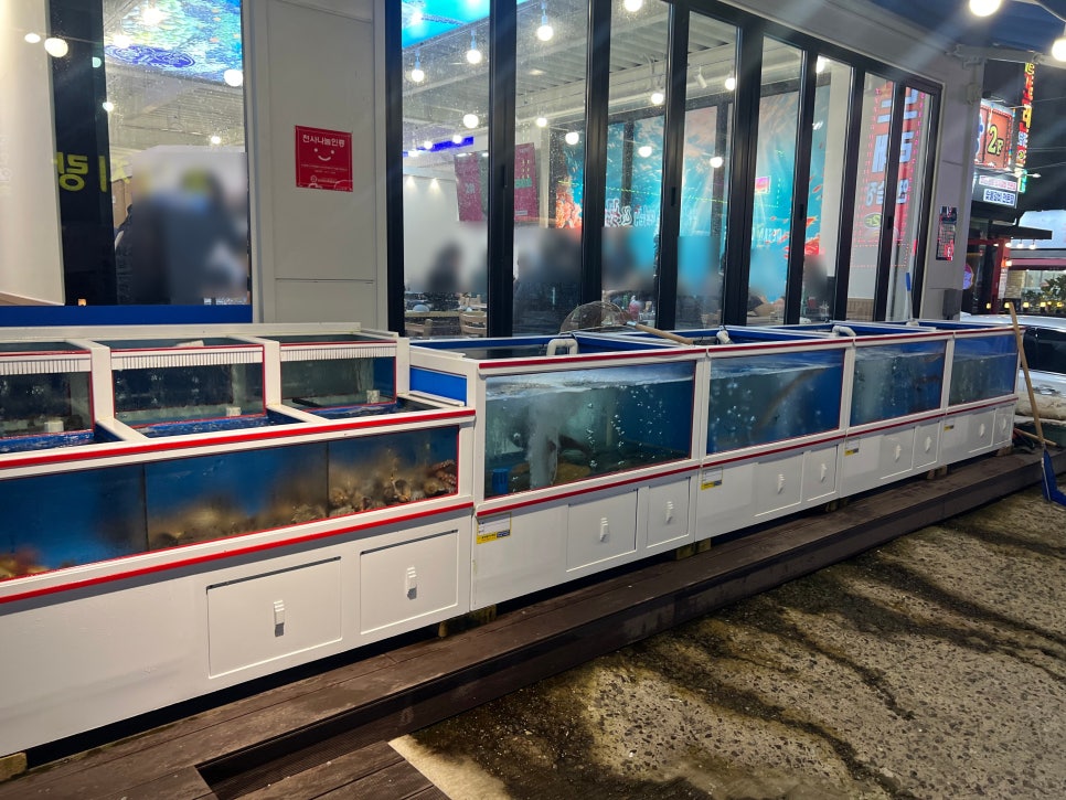 해안선 사진 2