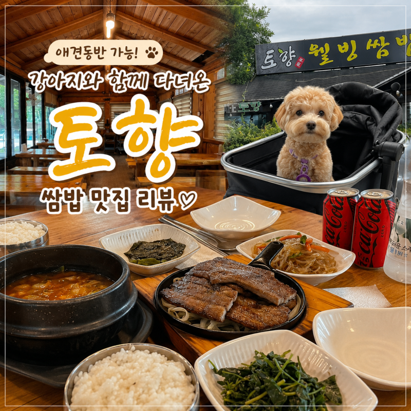 파주헤이리맛집 애견동반식당 한식 맛집 토향 후기