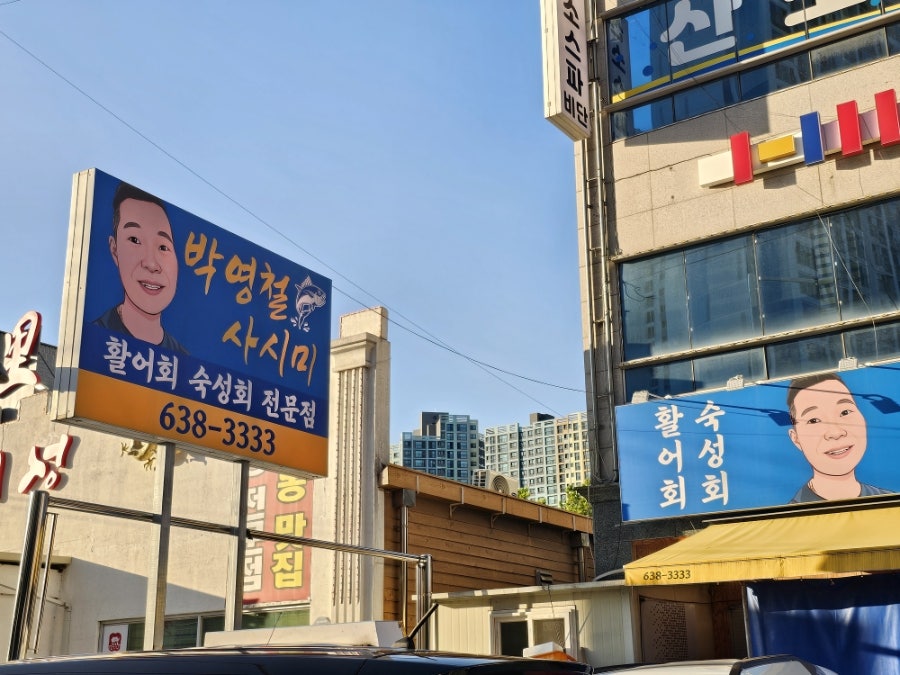박영철사시미 사진 4