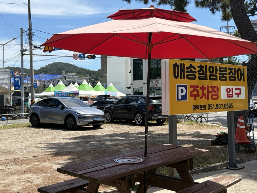 해송칠암붕장어 사진 2