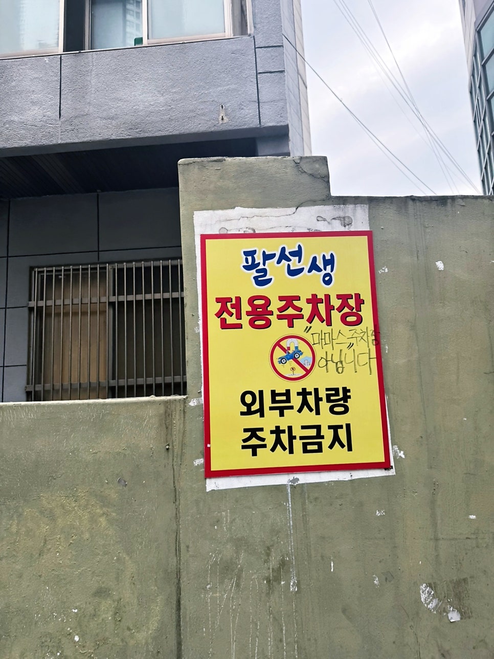 팔선생 사진 6
