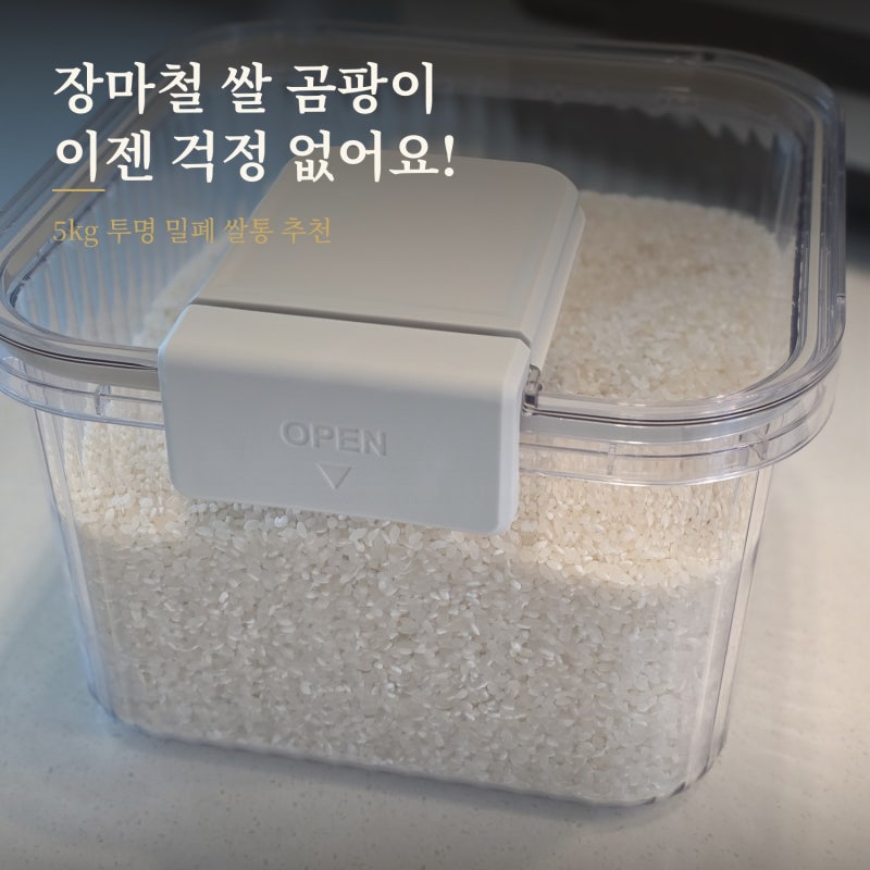 5kg 쌀통 추천｜장마철 쌀 곰팡이 막아준 달팽이리빙 퀴진드마망 솔직 후기