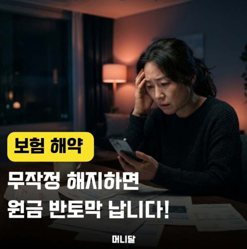 2조 몰린 보험해약환급금? 덜컥 해지했다가 저도 후회할 뻔