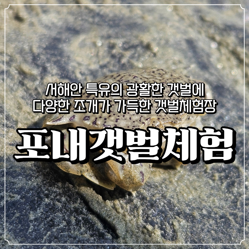 인천 무의도 가볼 만한 곳 하나개해수욕장 포내갯벌체험장 아이와 조개잡이
