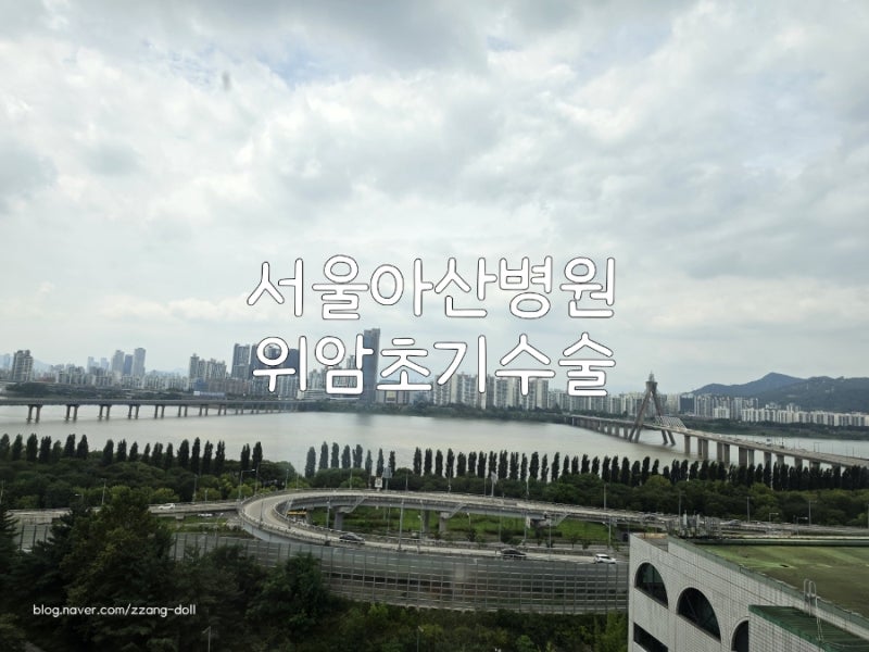 서울아산병원간병인 위암초기수술 후기