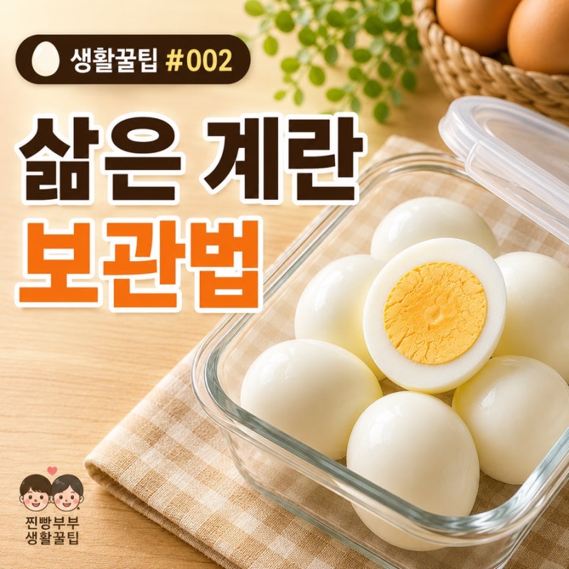 생활꿀팁 #002 | 삶은 계란 보관법 냉장보관 기간부터 올바른 보관법까지 한 번에 정리!