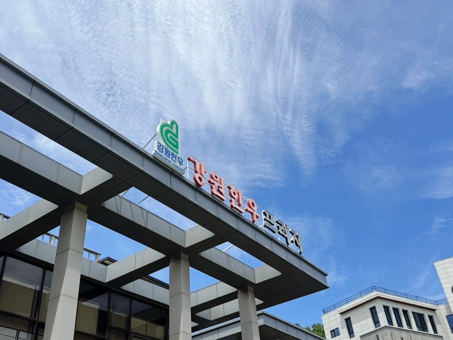 강원한우프라자 사진 2