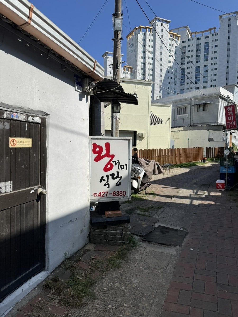 왕거미식당 사진 4