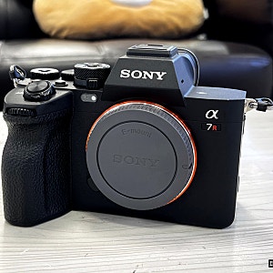 중고카메라 추천 소니 A7R5 초고화소 미러리스 리뷰