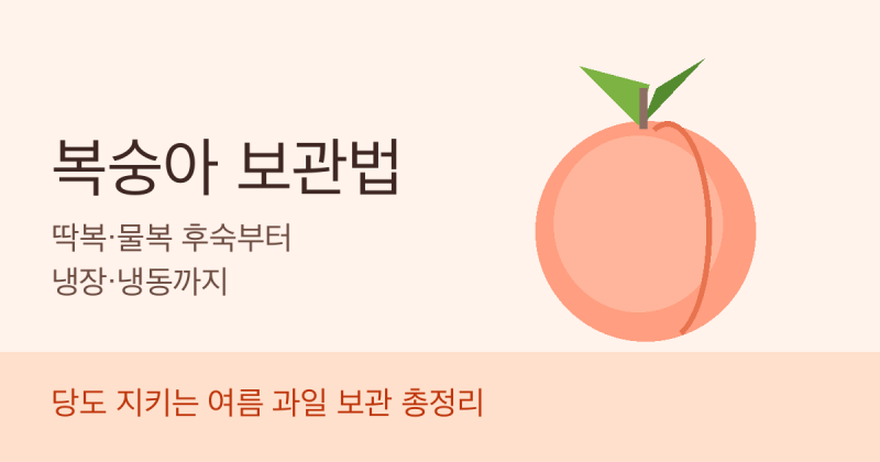 복숭아 보관법 — 딱복·물복 후숙부터 냉장·냉동까지 (당도 지키는 법)