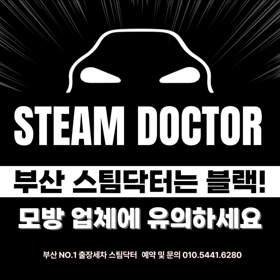 다인 사진 2