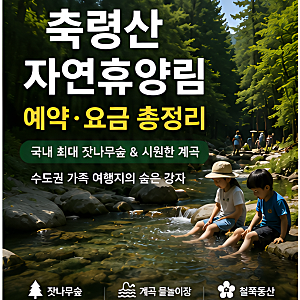 휴양림 33편 / 축령산자연휴양림 예약 방법 · 요금 총정리 (여름 계곡 물놀이 · 잣나무숲, 경....