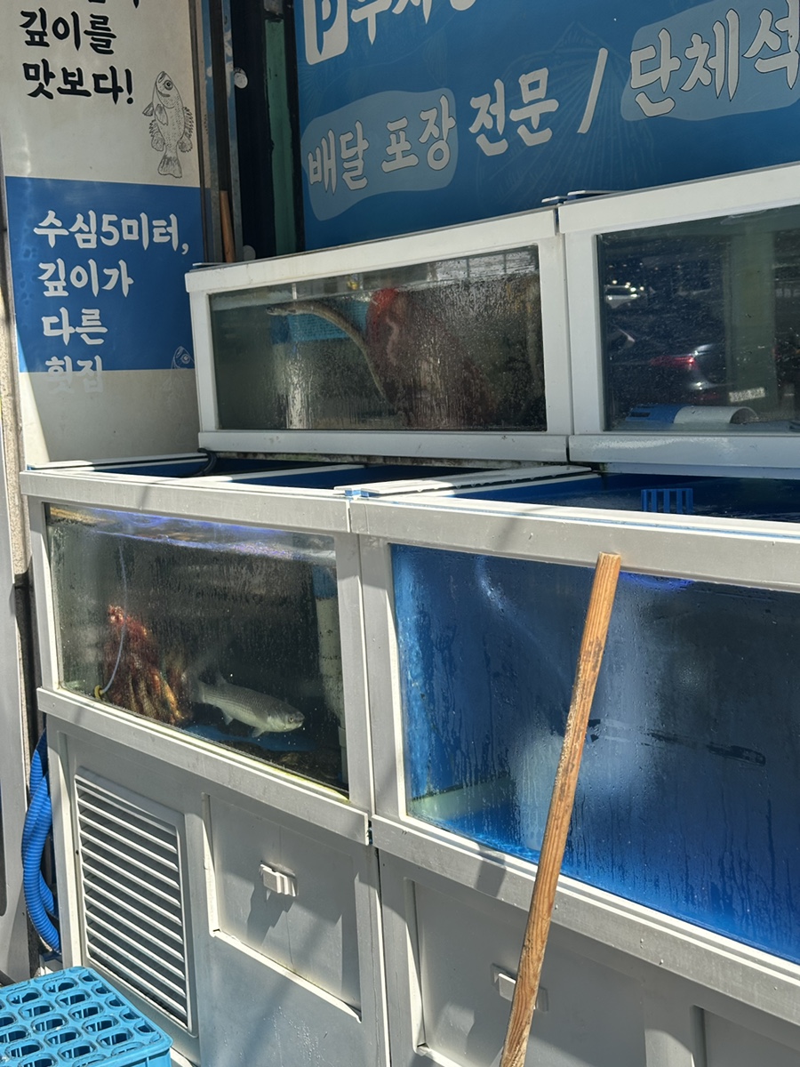 양정횟집 사진 3