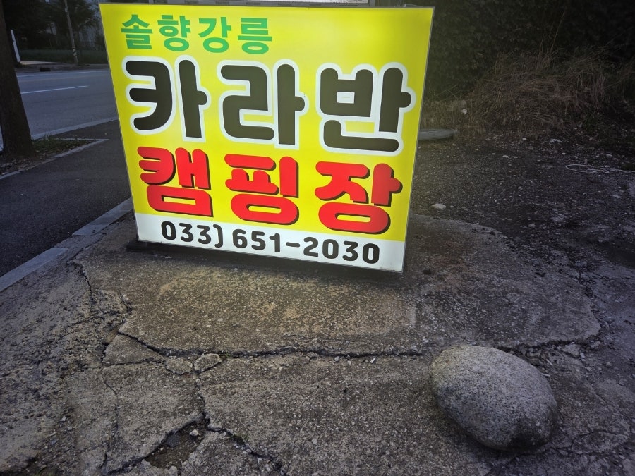솔향강릉카라반캠핑장 사진 1