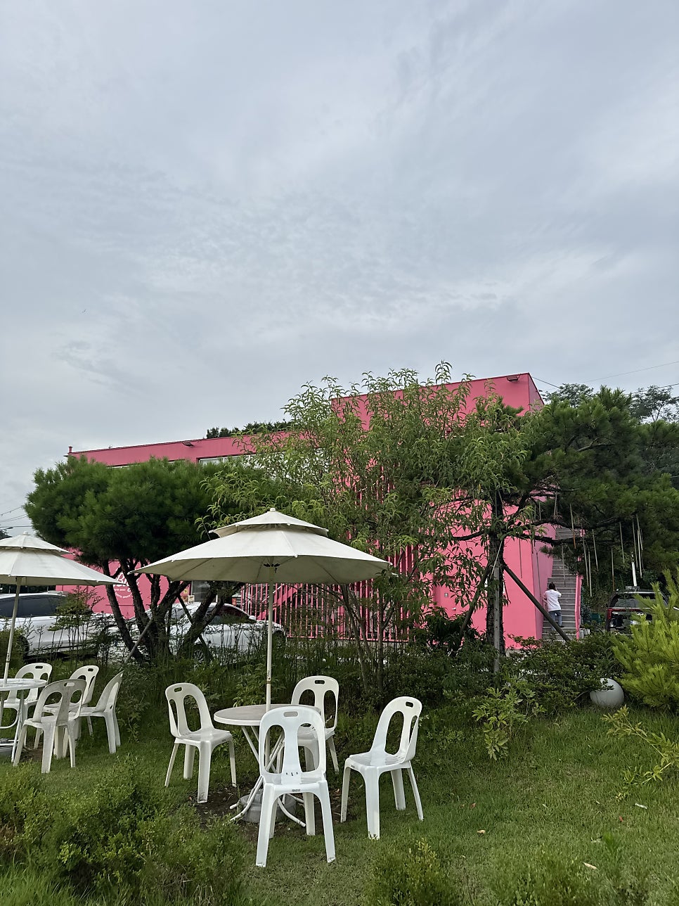 빌리 사진 2