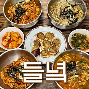 속초 시외버스터미널 근처 내돈내산 국수 맛집 추천 들녘