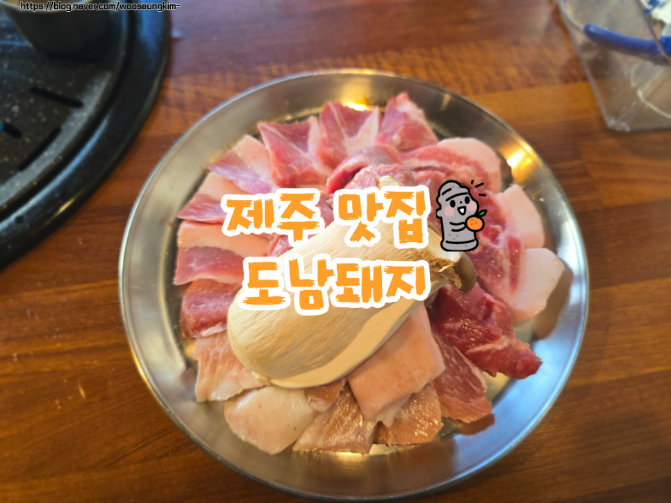 도남돼지 사진 1